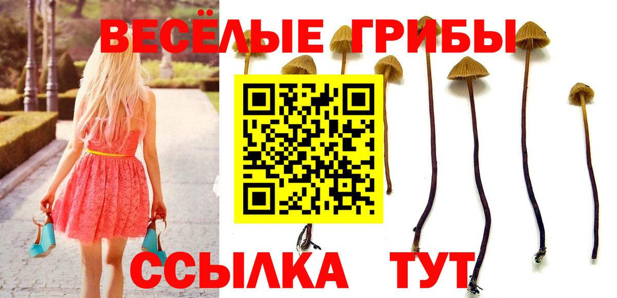 Галлюциногенные грибы ЛСД Конаково